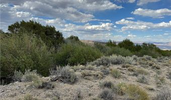 325 Davis Meadow Trl, Dyer, NV 89010