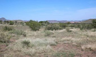 Tract 34 Sierra La Rana, Alpine, TX 79830