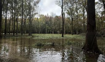 Gun Baoyu Road, Belzoni, MS 39038