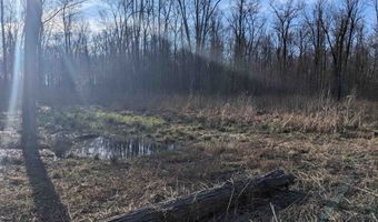 17540 Irwin, Armada, MI 48005