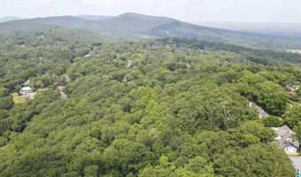 0 LANIER Pl 26.25 ac, Anniston, AL 36207