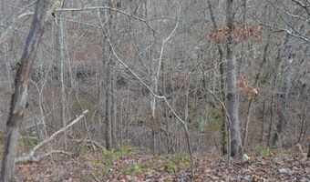Lot 6 Scenic Heights, Bruner, MO 65620