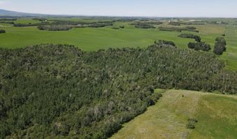 N 4600 E, Ashton, ID 83420