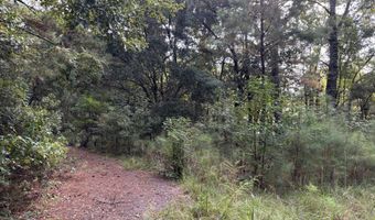 0 Providence Cir, Awendaw, SC 29429