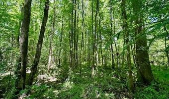 NE Williams Street, Brookhaven, MS 39601
