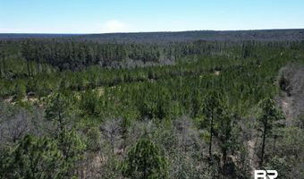 Robinsonville Road, Atmore, AL 36502