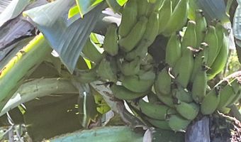 2762 Hana Hwy Lot Cpr B, Haiku, HI 96708