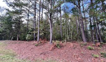 Lot B RIDGE Road, Appling, GA 30802