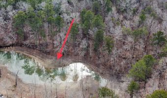 LOT 177 STONEY POINT, Double Springs, AL 35553