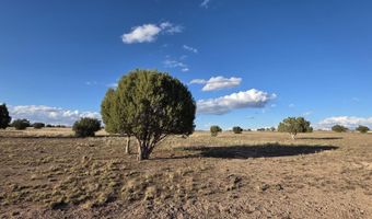 293 294 Arizona Rd, Ash Fork, AZ 86320