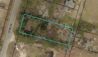 N Hazel Ave, Andrews, SC 29510