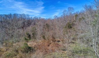 00 Rhondas Way, Bean Station, TN 37708