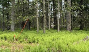 Dorshimer Ave, Blakeslee, PA 18610