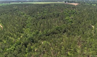 154 County Road 38 Acres, Banks, AL 36005