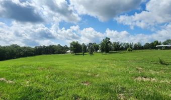 3350 SE Mt Pleasant Ln, Bogue Chitto, MS 39629