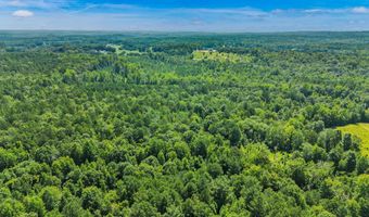 Alabama HWY 259, Alexander City, AL 35010