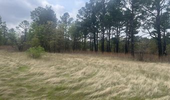 2548 County Road 2690, Alvord, TX 76225