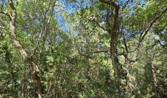 17 Col William Rhett Trl Lot 17, Bald Head Island, NC 28461
