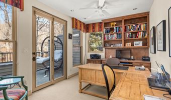 990 E Hopkins Ave, Aspen, CO 81611