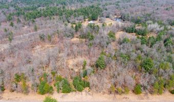 Dover Drive lot 2 +/-43 Ac, Adams, WI 53910