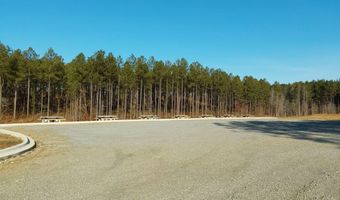 Parkway Trail Blvd lot 216, Bauxite, AR 72011
