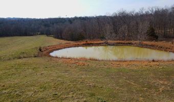 Rr 1 Box 6548, Ava, MO 65608
