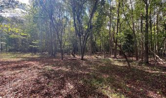 PINEPITCH Road, Harrington, DE 19952