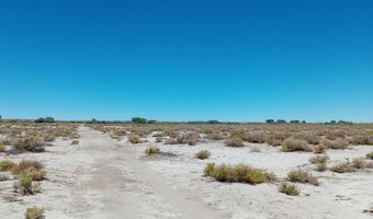 APN # 007-091-60, Fallon, NV 89406