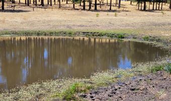 Tbd STONE CREEK RD CR 2117, Alpine, AZ 85920