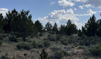 HWY 140 300, Beatty, OR 97621
