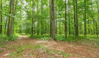 2150 Purcell Ln, Alpharetta, GA 30004