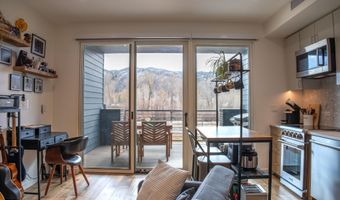 22860 Two Rivers Road 274, Basalt, CO 81621