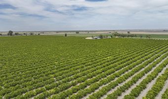 4617 Road 42, Alpaugh, CA 93201