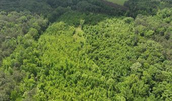 HWY 30 E, Baldwyn, MS 38824
