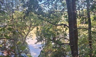 163 High Bluff Rd, Baxley, GA 31513