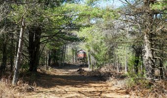 5840 Wildwood Rd, Alger, MI 48610