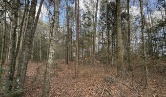 County Road 72, Ariton, AL 36311