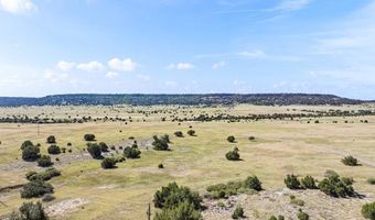 7015 Burnt Mill Rd, Beulah, CO 81023