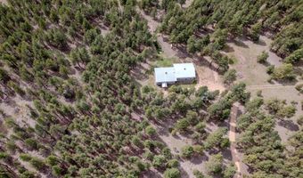 41 Susan Ln, Angel Fire, NM 87710