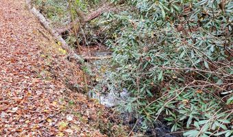 135 49ac Webb Creek Rd, Andrews, NC 28901