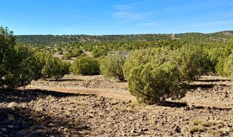 Kirkland DR 20 Acres, Concho, AZ 85924