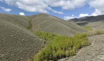 Lees Gulch Rd, Bellevue, ID 83313