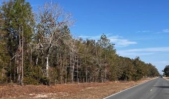 4700 County Road 340, Bell, FL 32619