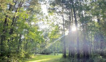 1441 Blue Meadow Rd, Bay St. Louis, MS 39520