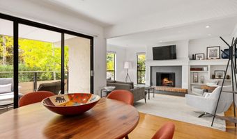 980 E Hyman Ave 3, Aspen, CO 81611