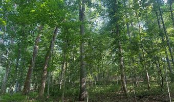 Lot 2B Gidsville Road, Amherst, VA 24521