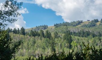 1330 W Buttermilk Rd, Aspen, CO 81611