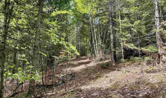 Marshall Newland Road, Burke, VT 05832