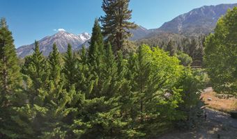 1147 Autumn Hills Rd, Gardnerville, NV 89460