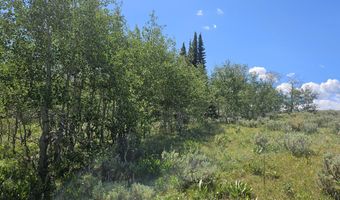 TRACK 12 ASPEN RIDGE Road, Daniel, WY 83115